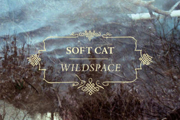 Soft Cat - It Won't be Long